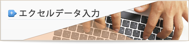 エクセルデータ入力
